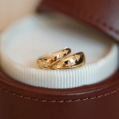 Luxury Gold & Silver Earrings